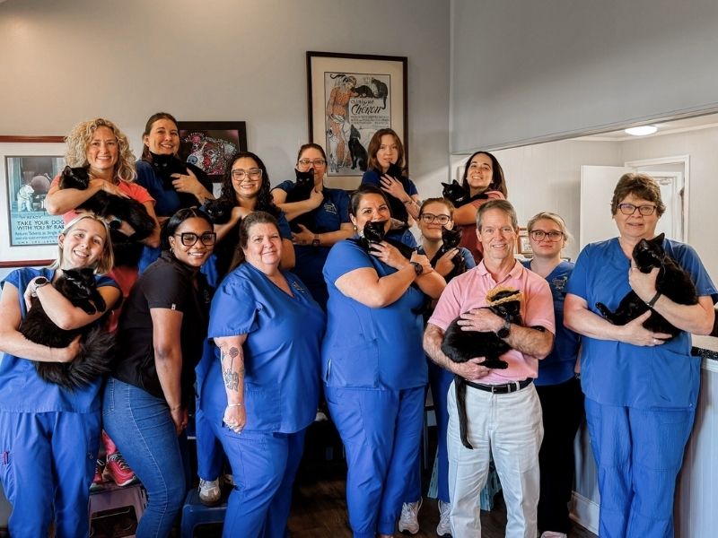 Crossroad Animal Hospital Team veterinarian holding kitten