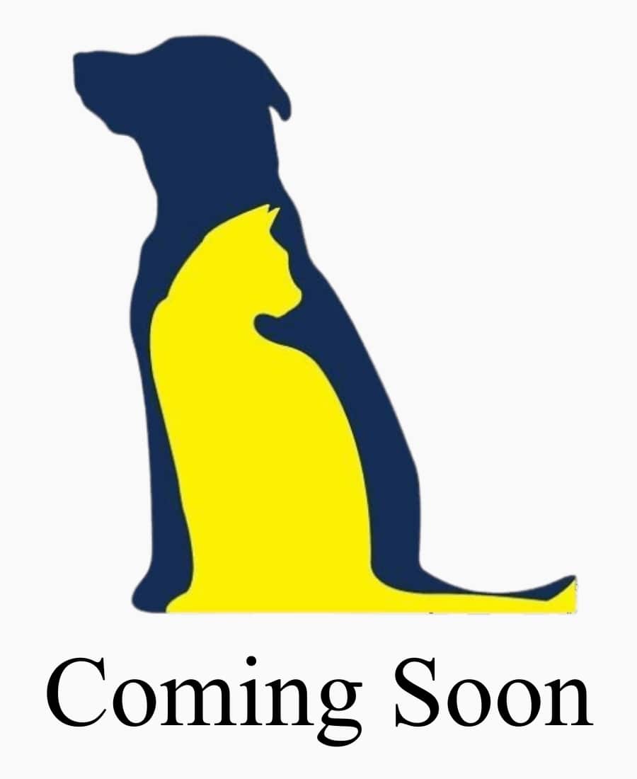 Coming Soon placeholder