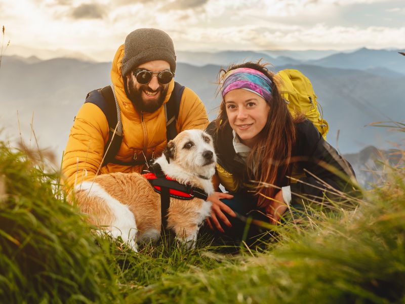 Couple, dog, mountains, hiking Couple, dog, mountains, hiking