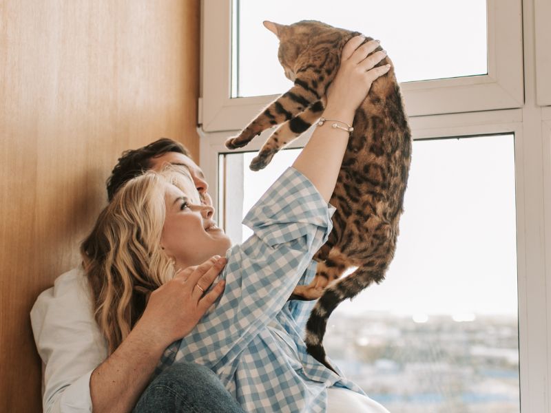 Couple holding cat, smiling. Couple holding cat, smiling.