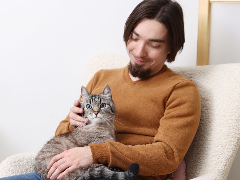 Man petting cat, relaxing Man petting cat, relaxing