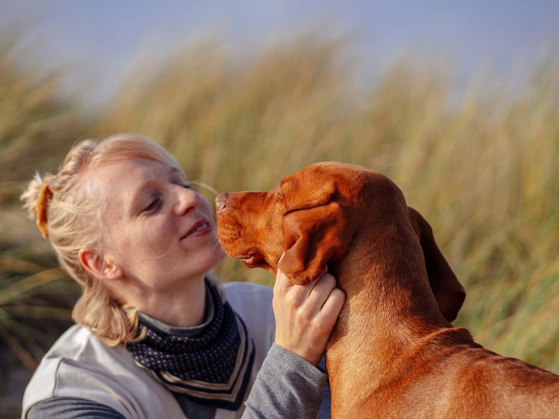 Woman cuddling with brown dog Woman cuddling with brown dog