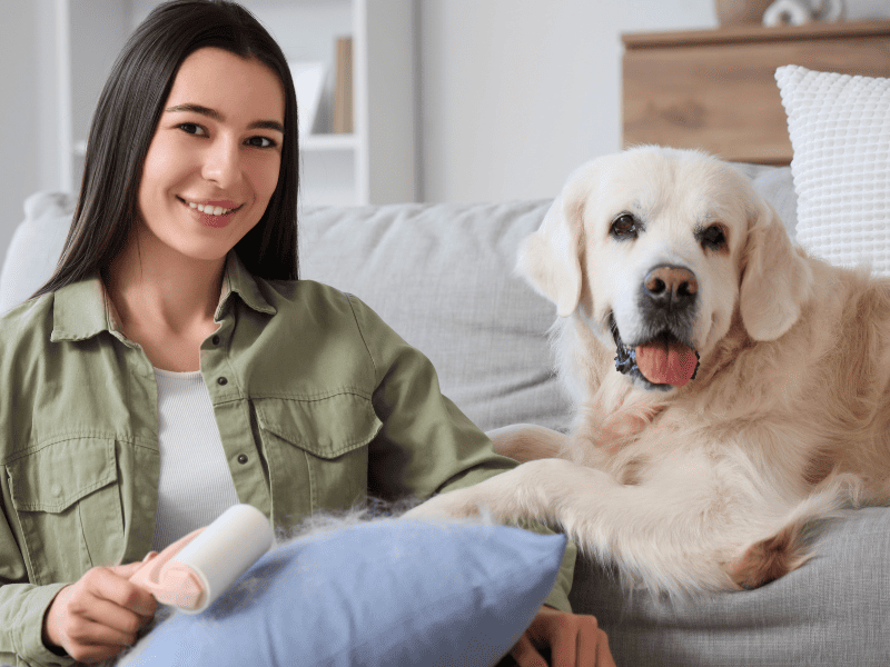 Woman, dog, lint roller Woman, dog, lint roller