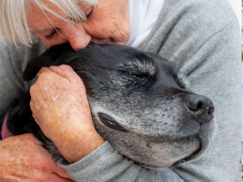 Woman hugging black dog Woman hugging black dog