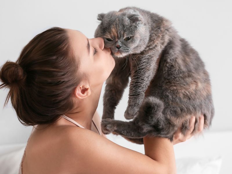 Dog being examined by veterinary staff closeup of brown and white dog outdoors