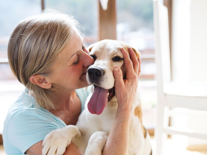Woman kissing her happy dog Woman kissing her happy dog