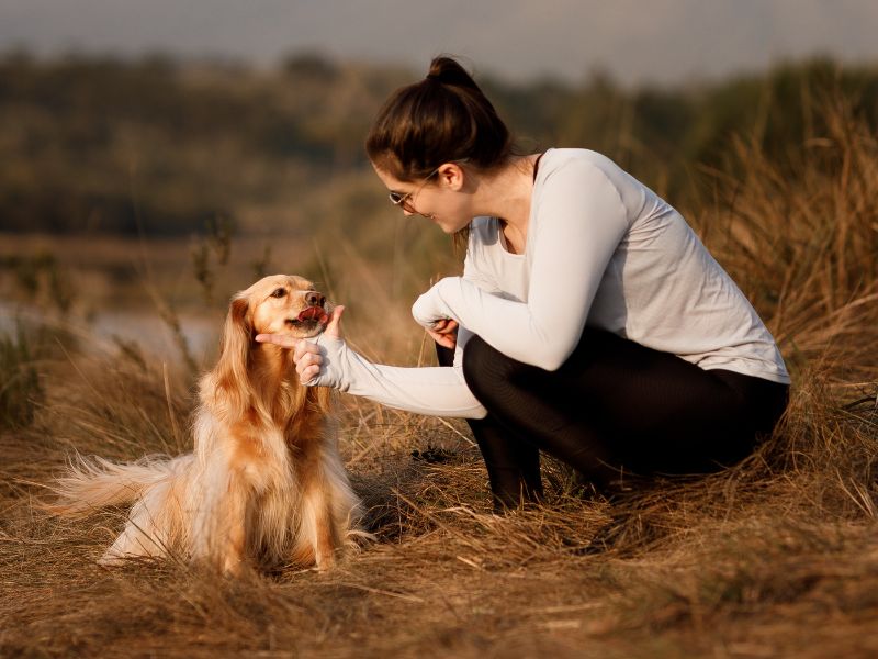 Woman petting golden retriever Woman petting golden retriever