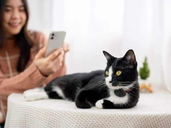 Cat laying on a table with a woman on her phone in the background